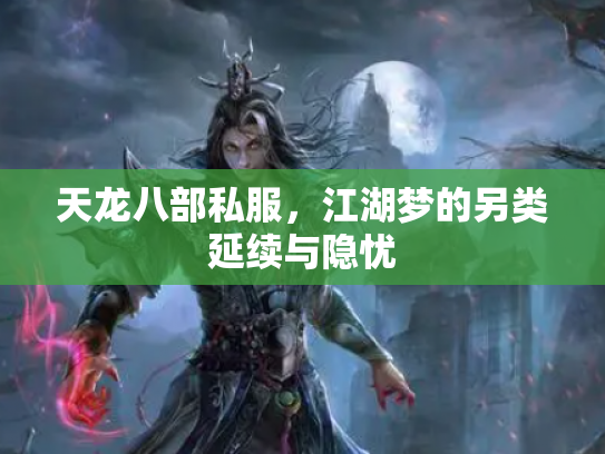 天龙八部私服，江湖梦的另类延续与隐忧