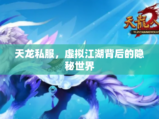 天龙私服，虚拟江湖背后的隐秘世界