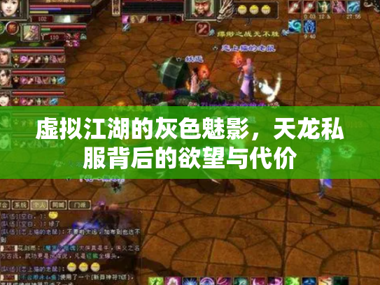 虚拟江湖的灰色魅影，天龙私服背后的欲望与代价