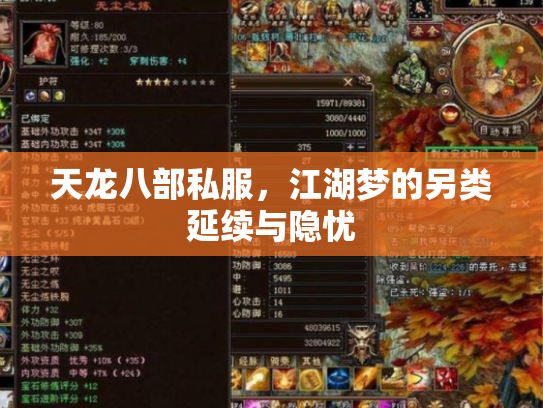 天龙八部私服，江湖梦的另类延续与隐忧