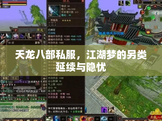 天龙八部私服，江湖梦的另类延续与隐忧