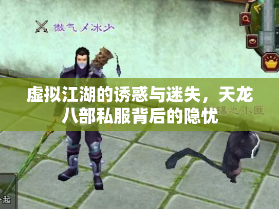 虚拟江湖的诱惑与迷失，天龙八部私服背后的隐忧