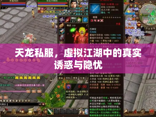 天龙私服，虚拟江湖中的真实诱惑与隐忧