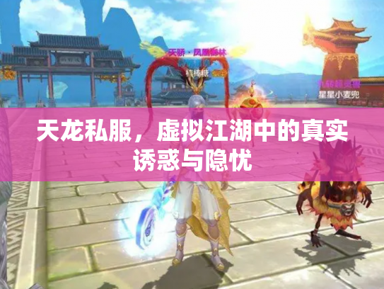 天龙私服，虚拟江湖中的真实诱惑与隐忧