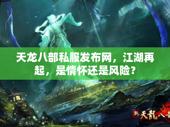 天龙八部私服发布网，江湖再起，是情怀还是风险？