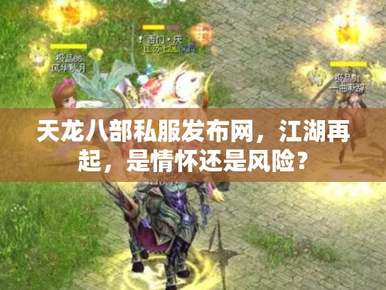 天龙八部私服发布网，江湖再起，是情怀还是风险？