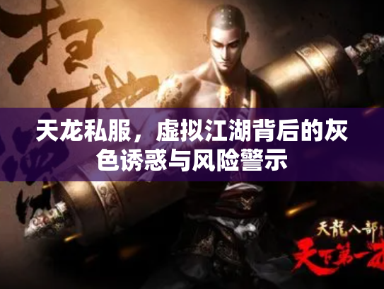 天龙私服，虚拟江湖背后的灰色诱惑与风险警示