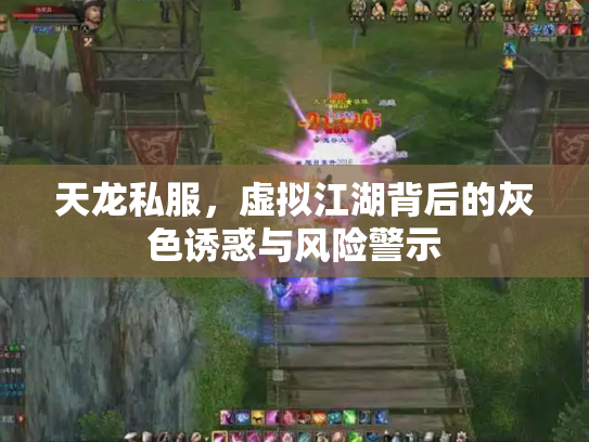 天龙私服，虚拟江湖背后的灰色诱惑与风险警示