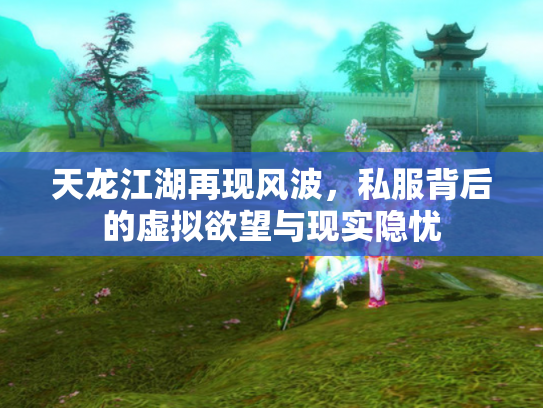 天龙江湖再现风波，私服背后的虚拟欲望与现实隐忧