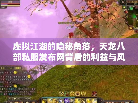 虚拟江湖的隐秘角落，天龙八部私服发布网背后的利益与风险