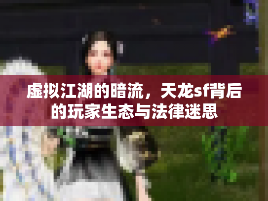 虚拟江湖的暗流，天龙sf背后的玩家生态与法律迷思