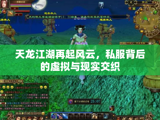 天龙江湖再起风云，私服背后的虚拟与现实交织