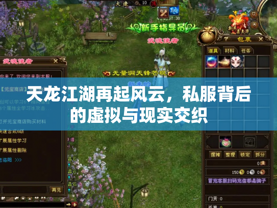 天龙江湖再起风云，私服背后的虚拟与现实交织