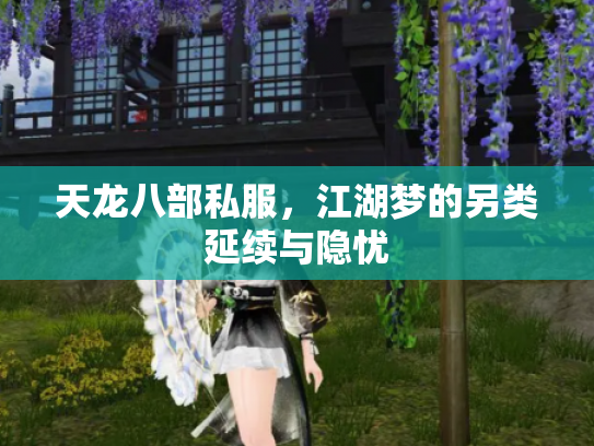 天龙八部私服，江湖梦的另类延续与隐忧