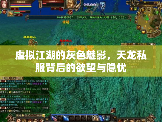 虚拟江湖的灰色魅影，天龙私服背后的欲望与隐忧
