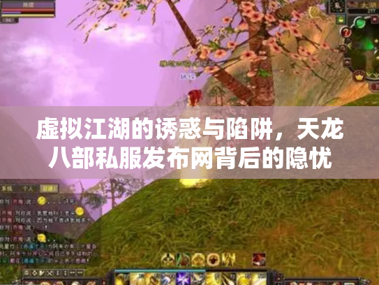 虚拟江湖的诱惑与陷阱，天龙八部私服发布网背后的隐忧