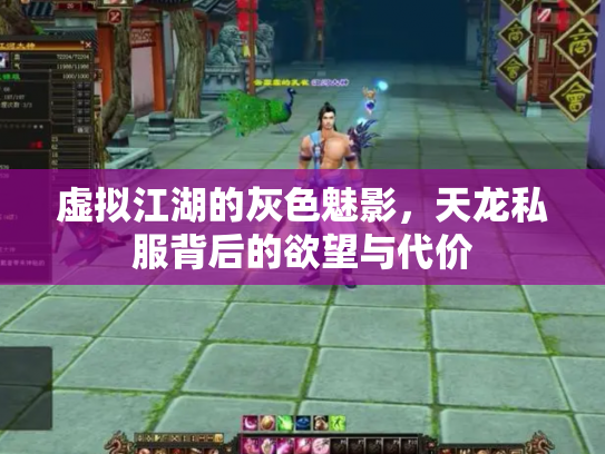 虚拟江湖的灰色魅影，天龙私服背后的欲望与代价