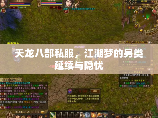 天龙八部私服，江湖梦的另类延续与隐忧