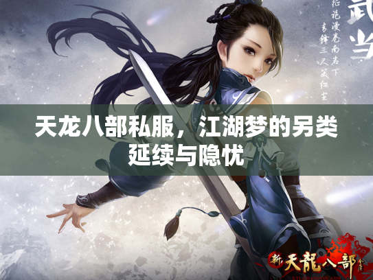 天龙八部私服，江湖梦的另类延续与隐忧