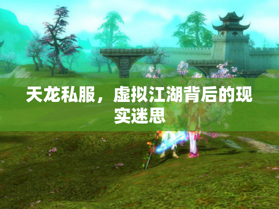 天龙私服，虚拟江湖背后的现实迷思