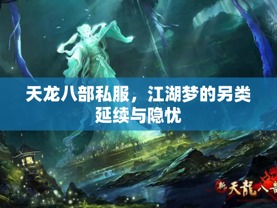 天龙八部私服，江湖梦的另类延续与隐忧