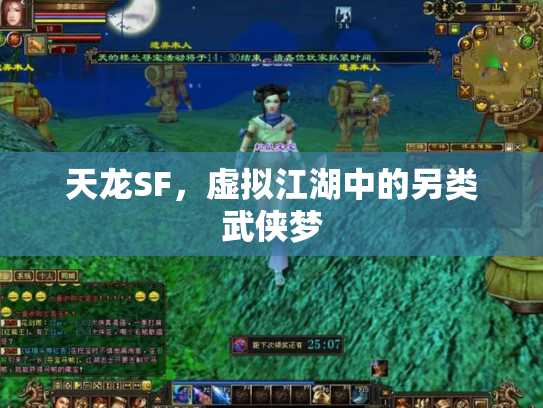 天龙SF，虚拟江湖中的另类武侠梦