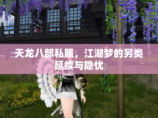 天龙八部私服，江湖梦的另类延续与隐忧