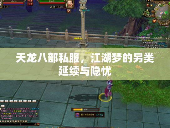 天龙八部私服，江湖梦的另类延续与隐忧