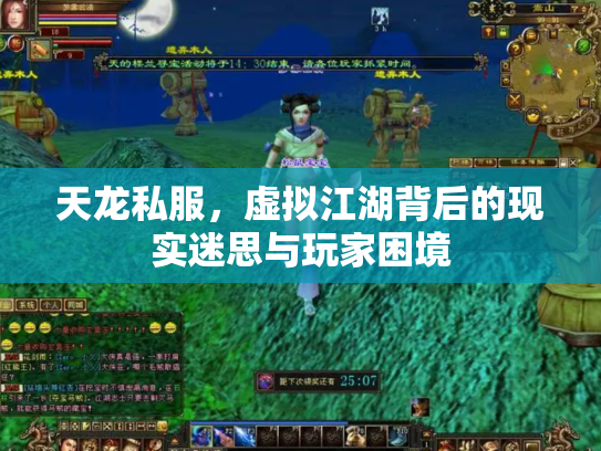 天龙私服，虚拟江湖背后的现实迷思与玩家困境