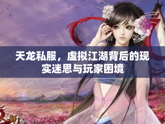 天龙私服，虚拟江湖背后的现实迷思与玩家困境