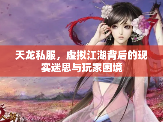 天龙私服，虚拟江湖背后的现实迷思与玩家困境