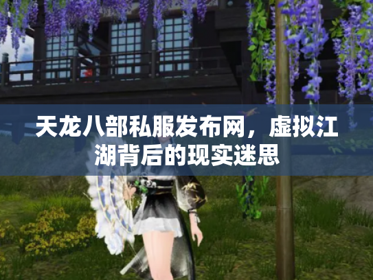 天龙八部私服发布网，虚拟江湖背后的现实迷思