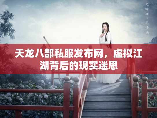 天龙八部私服发布网，虚拟江湖背后的现实迷思