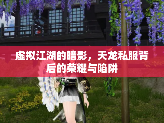 虚拟江湖的暗影，天龙私服背后的荣耀与陷阱