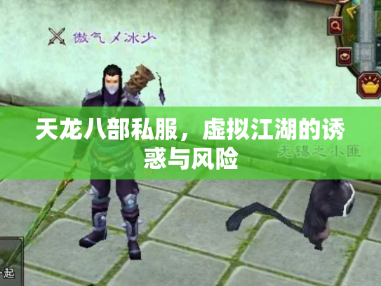 天龙八部私服，虚拟江湖的诱惑与风险