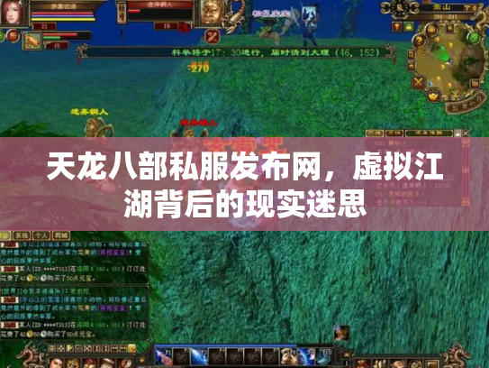 天龙八部私服发布网，虚拟江湖背后的现实迷思