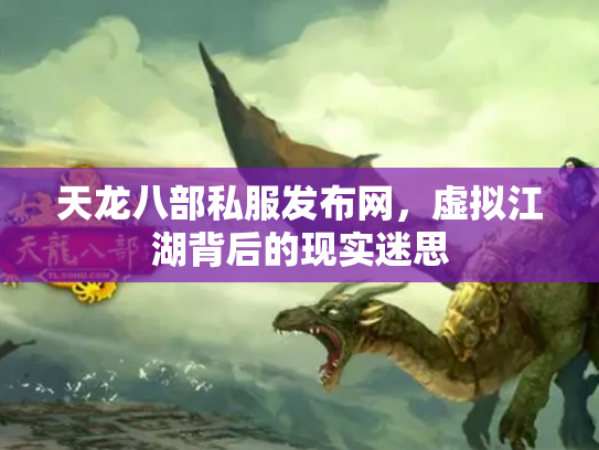 天龙八部私服发布网，虚拟江湖背后的现实迷思