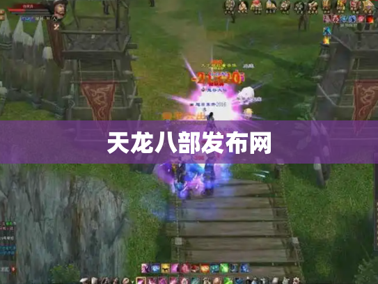 天龙八部发布网