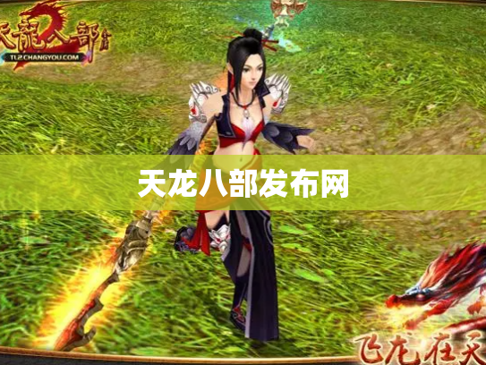 天龙八部发布网