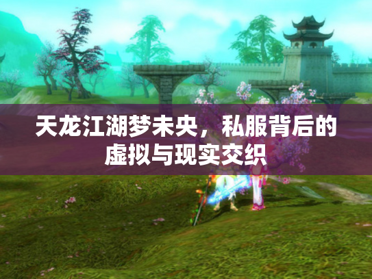 天龙江湖梦未央，私服背后的虚拟与现实交织