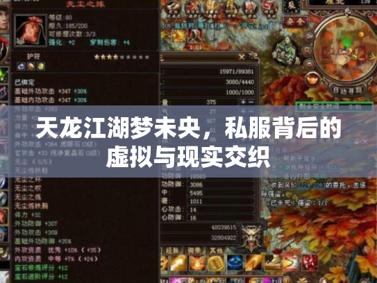 天龙江湖梦未央，私服背后的虚拟与现实交织