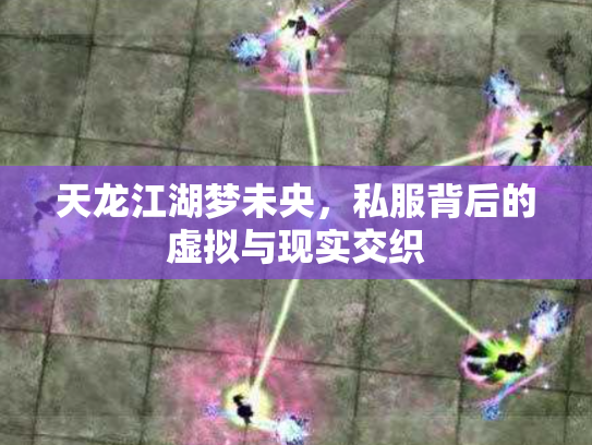 天龙江湖梦未央，私服背后的虚拟与现实交织