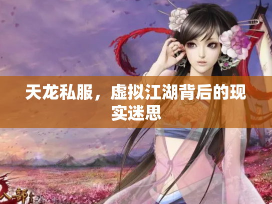 天龙私服，虚拟江湖背后的现实迷思