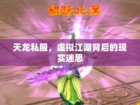 天龙私服，虚拟江湖背后的现实迷思