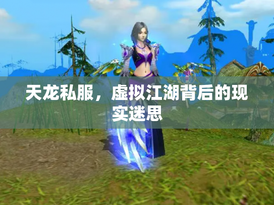 天龙私服，虚拟江湖背后的现实迷思
