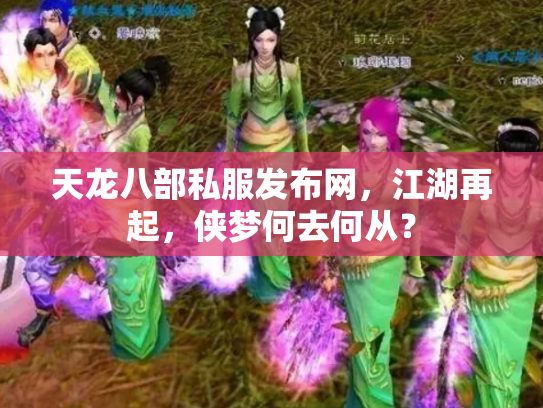 天龙八部私服发布网，江湖再起，侠梦何去何从？