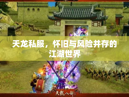 天龙私服，怀旧与风险并存的江湖世界