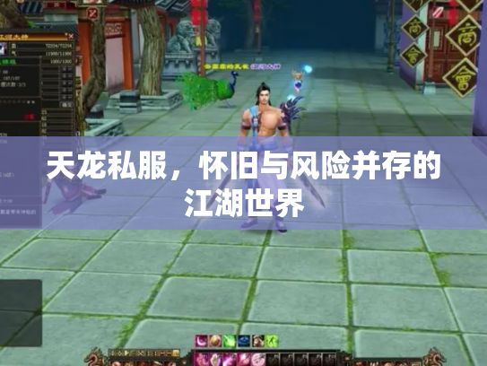 天龙私服，怀旧与风险并存的江湖世界
