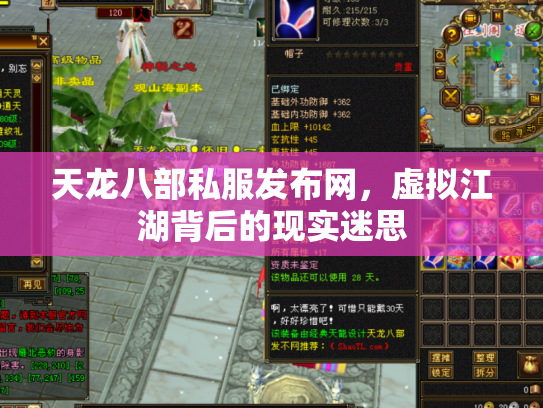 天龙八部私服发布网，虚拟江湖背后的现实迷思