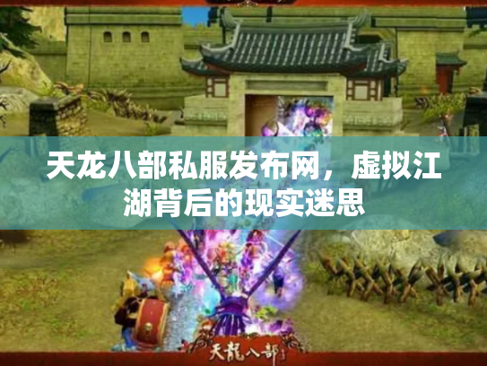 天龙八部私服发布网，虚拟江湖背后的现实迷思